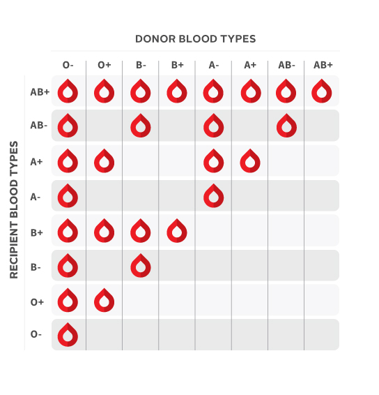 Image result for diagram of what blood types can give and receive