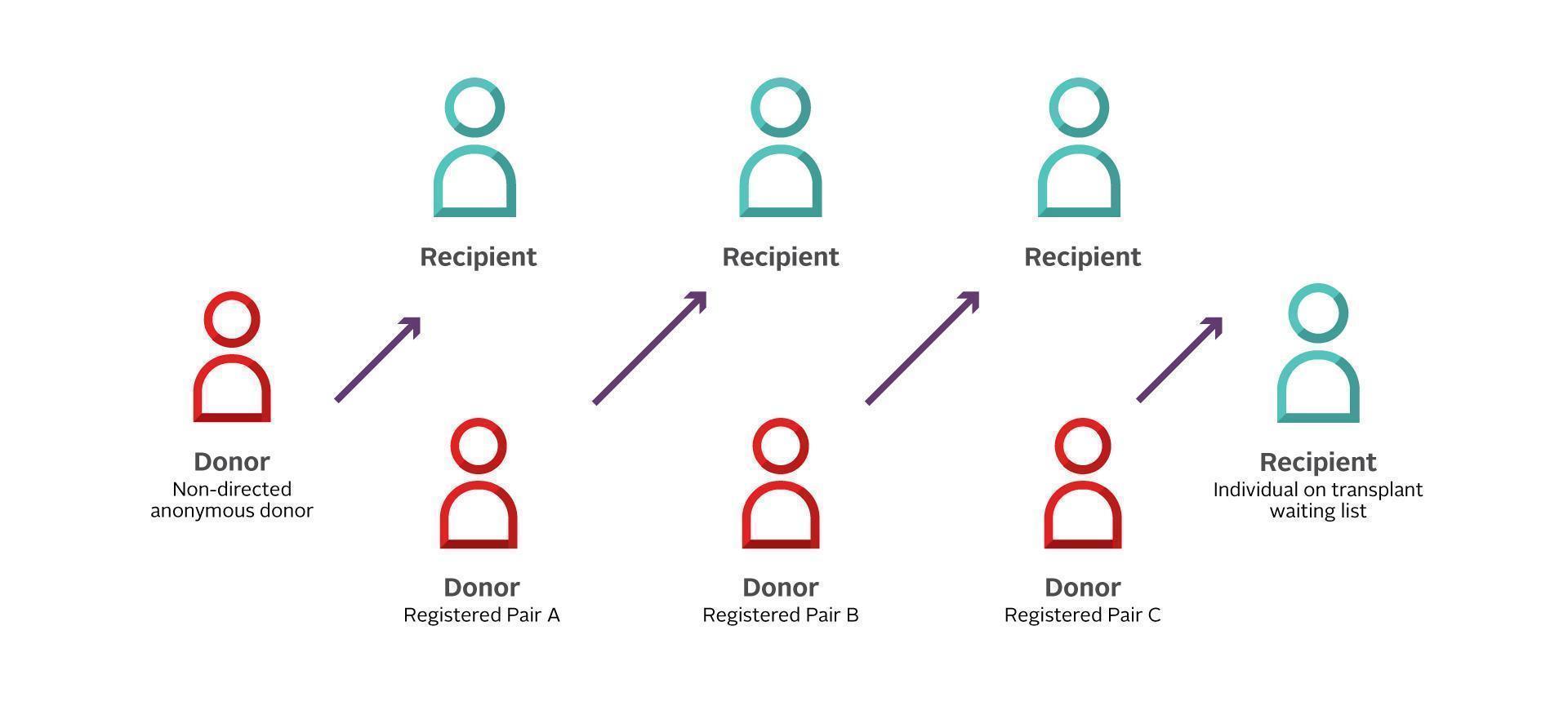 kidney donor domino effect
