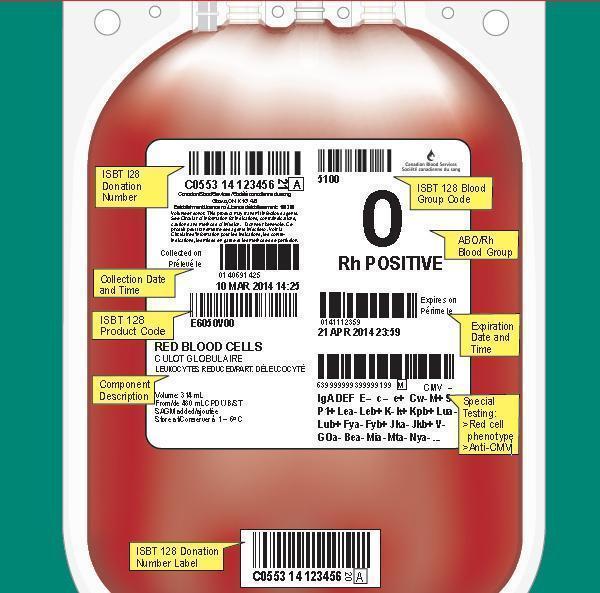 blood-bag-label-template