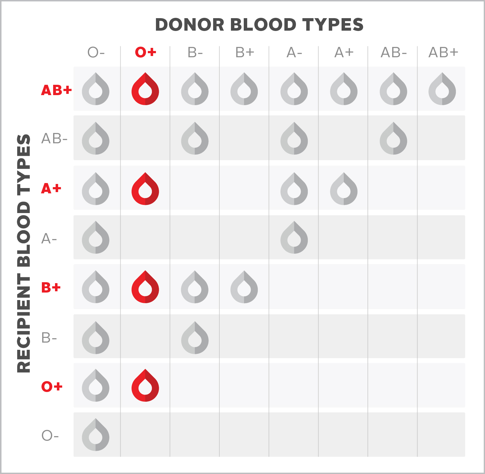 O-positive (O+) Blood Type