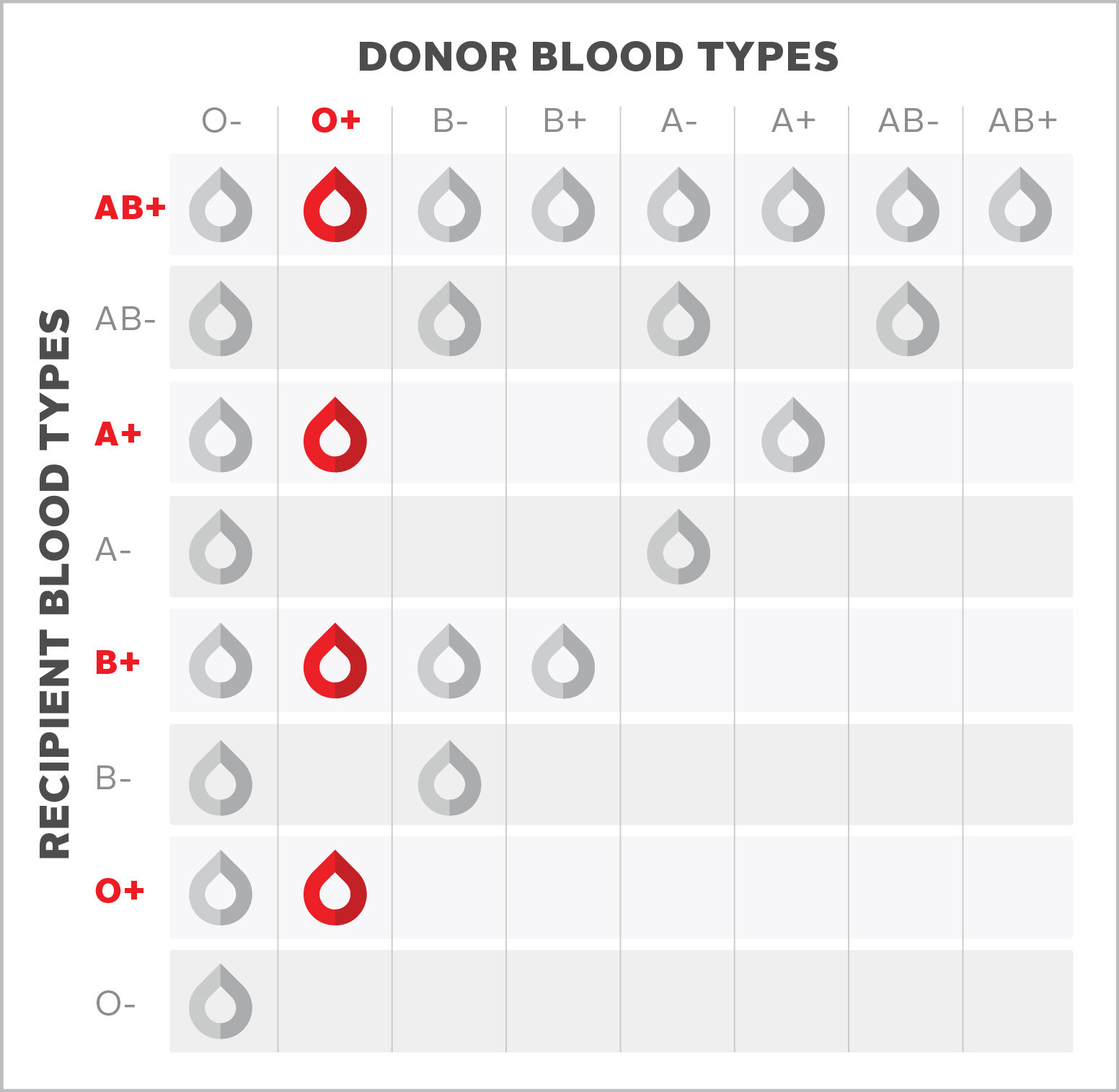 O positive O Blood Type Blood ca