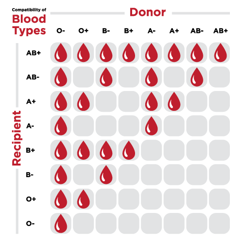 Diet According To Blood Type Ab Positive Compatibility   Compatibility Chart 