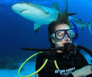 Scuba diver underwater with shark in background