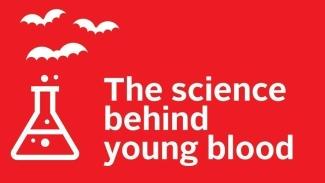 A graphic of a beaker with bats flying out of it, and the words "The science behind young blood"