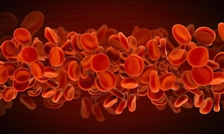 blood on the move blood on the move