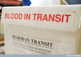 blood in transit