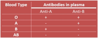 blood type chart antigens antibodies