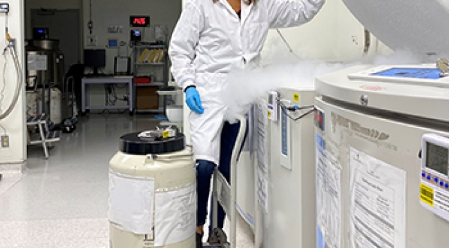 a freezer for storing stem cells at a very low temperature