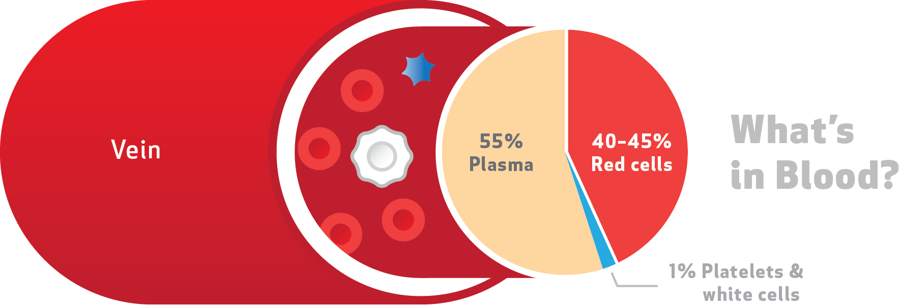 a-primer-on-platelets-canadian-blood-services